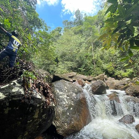 Rainforest Cabin Deniyaya Zewnętrze zdjęcie