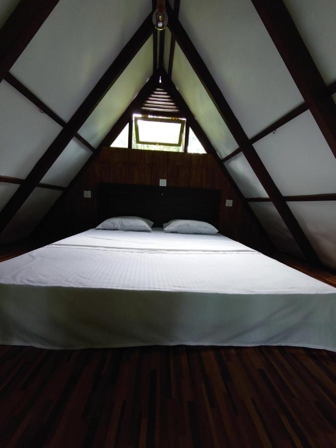 Rainforest Cabin Deniyaya Zewnętrze zdjęcie