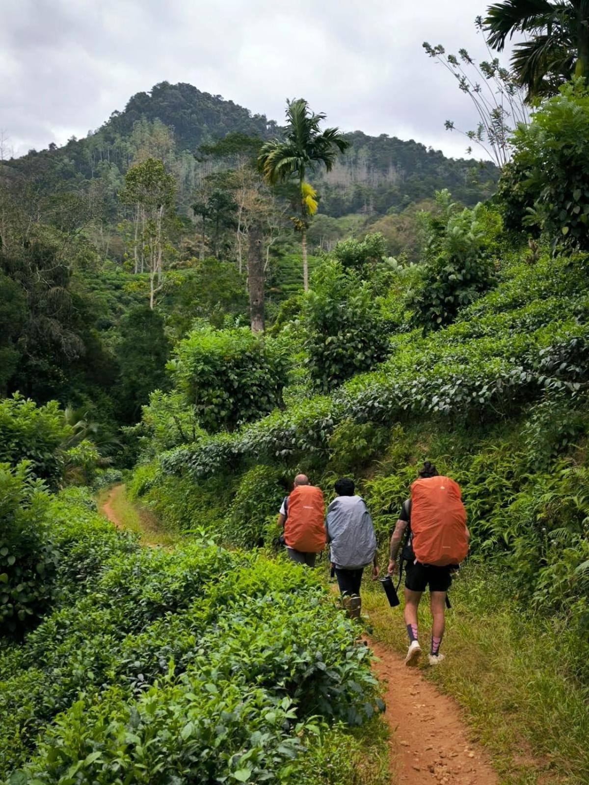 Rainforest Cabin Deniyaya Zewnętrze zdjęcie