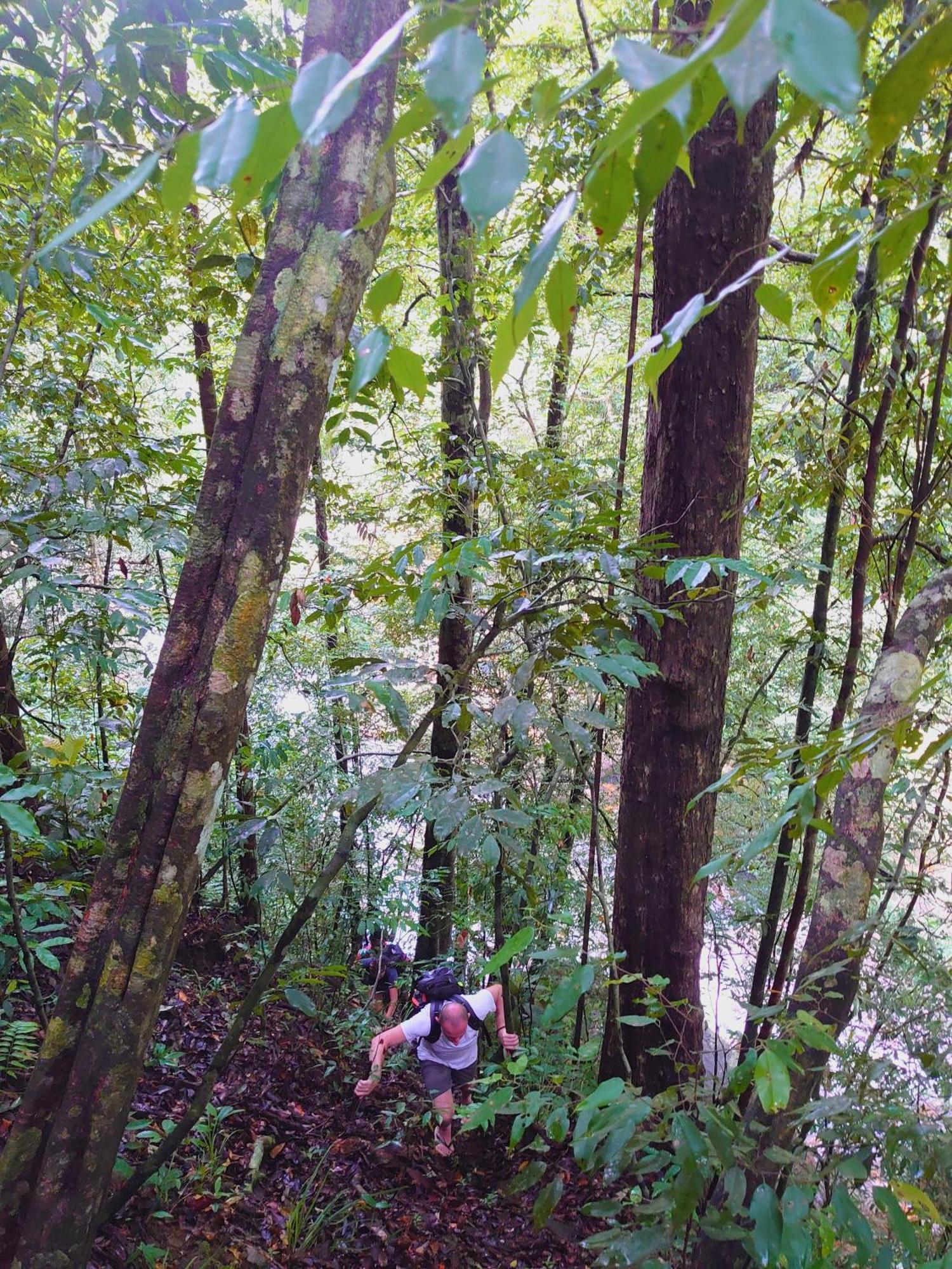 Rainforest Cabin Deniyaya Zewnętrze zdjęcie