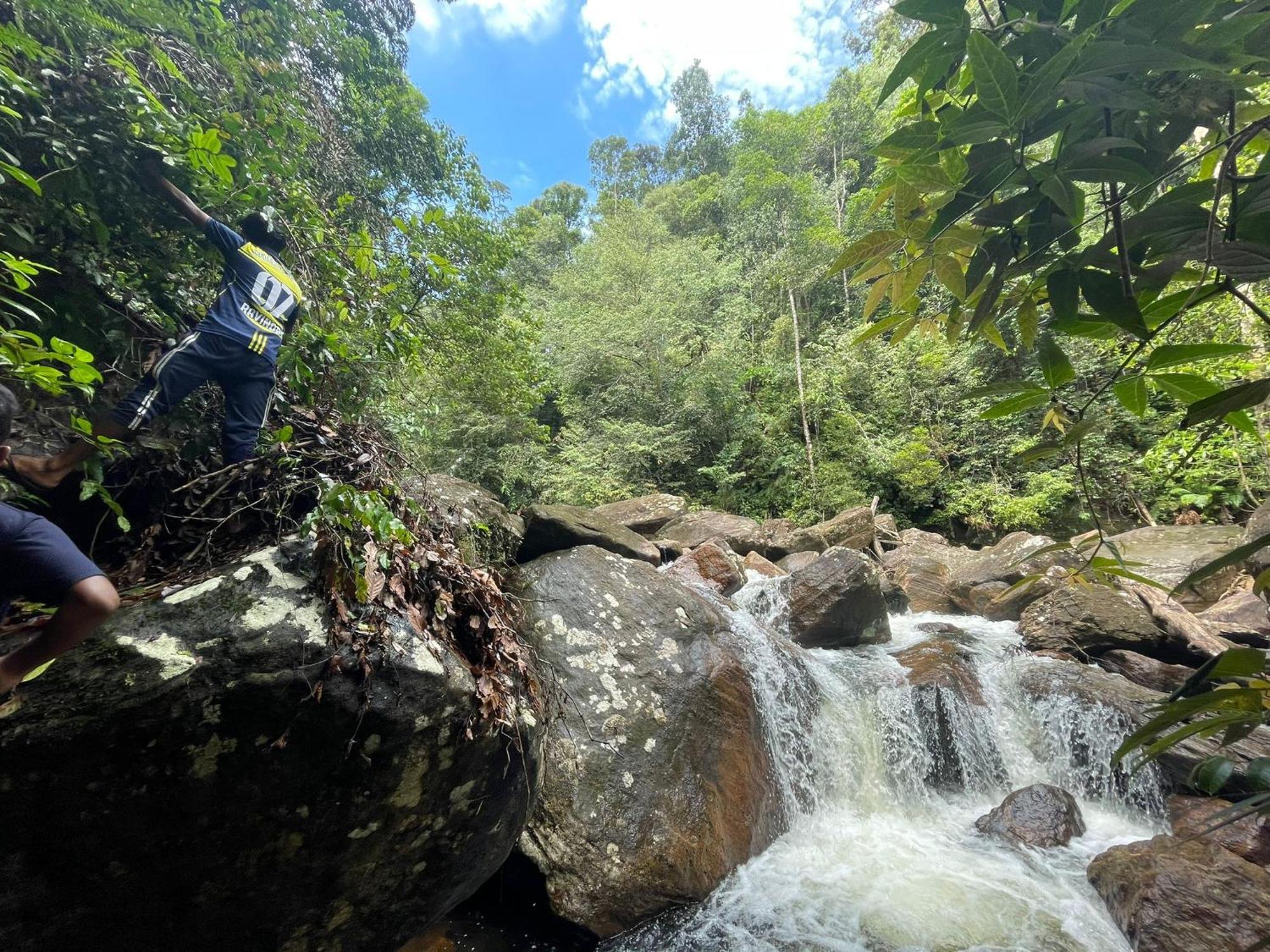 Rainforest Cabin Deniyaya Zewnętrze zdjęcie