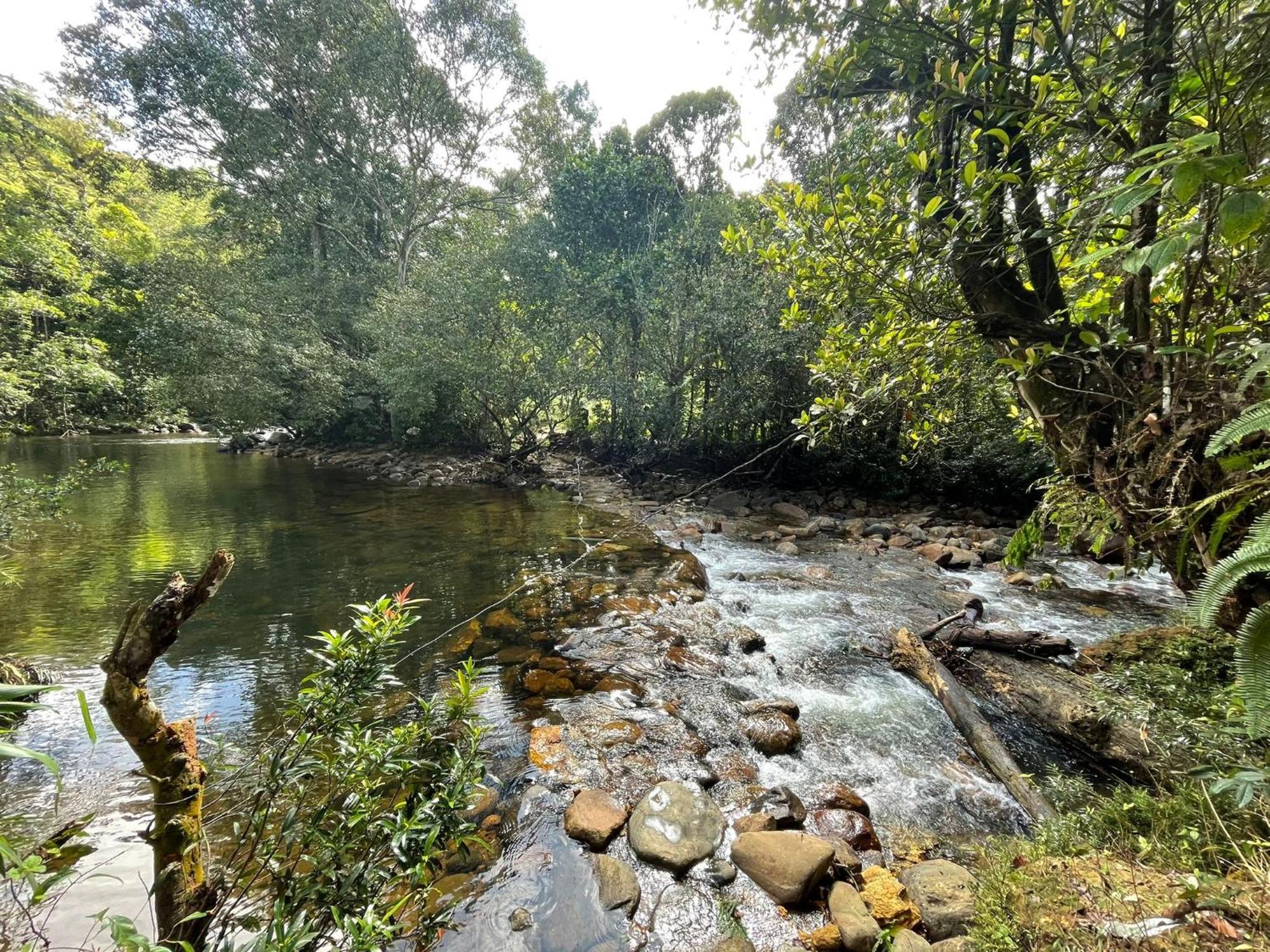 Rainforest Cabin Deniyaya Zewnętrze zdjęcie