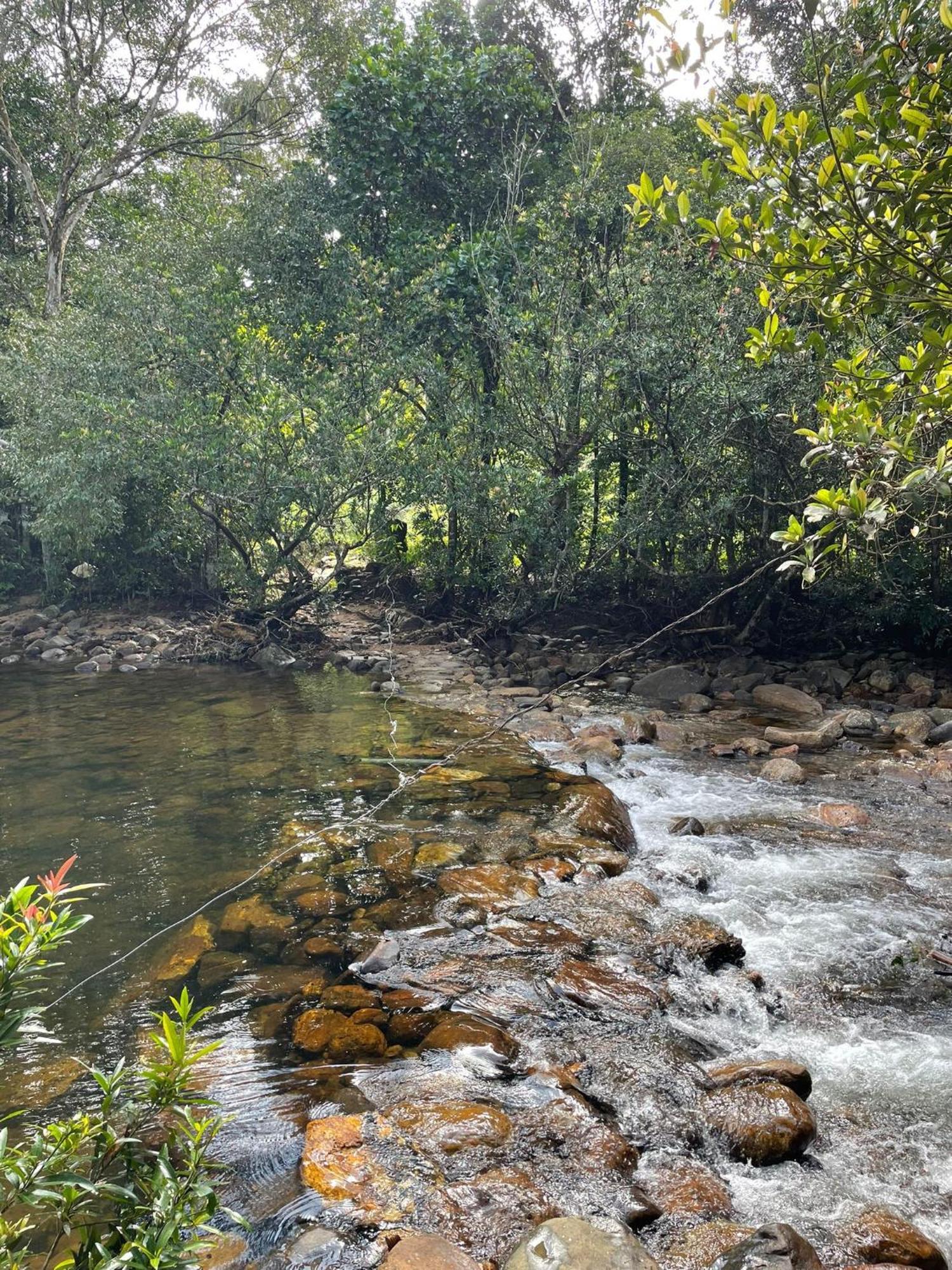 Rainforest Cabin Deniyaya Zewnętrze zdjęcie