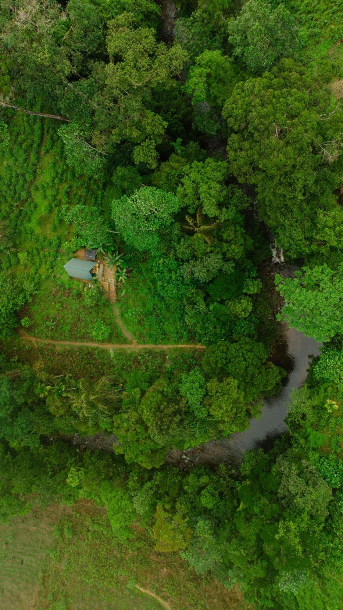 Rainforest Cabin Deniyaya Zewnętrze zdjęcie