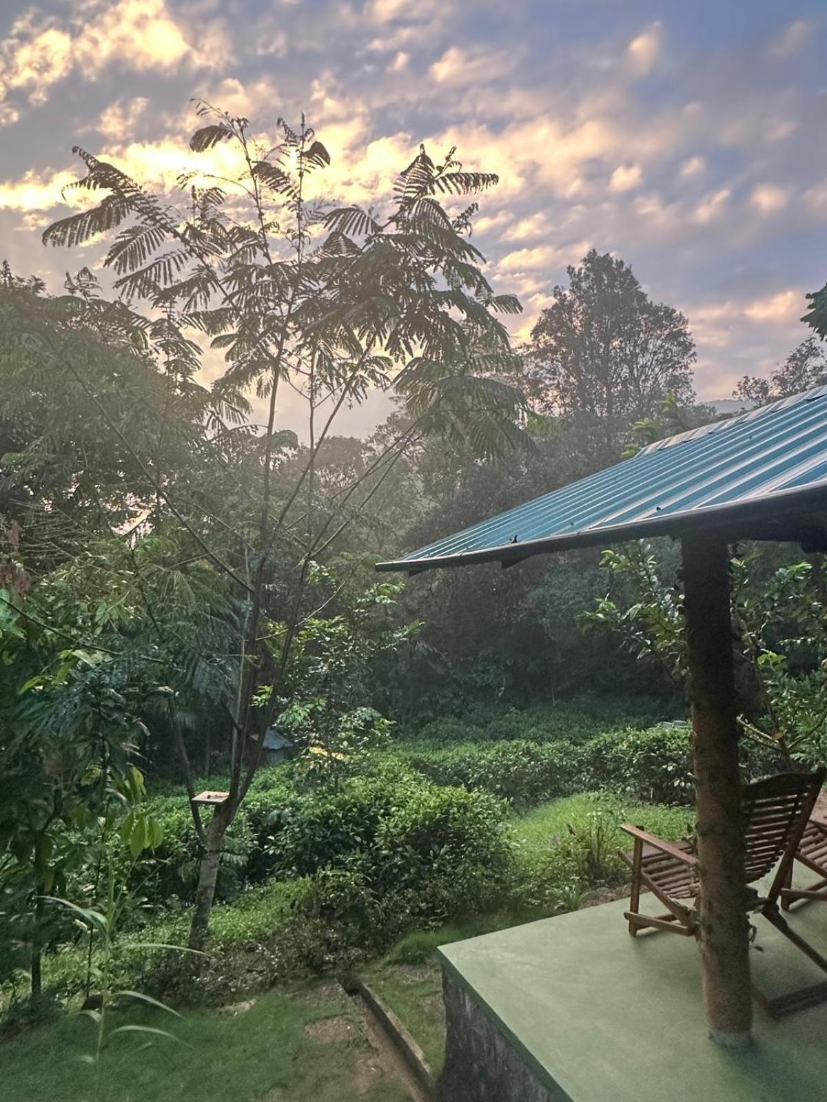 Rainforest Cabin Deniyaya Pokój zdjęcie